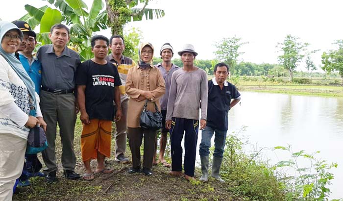 1.627 Embung di Lombok Timur Dukung RI Capai Target Swasembada Pangan